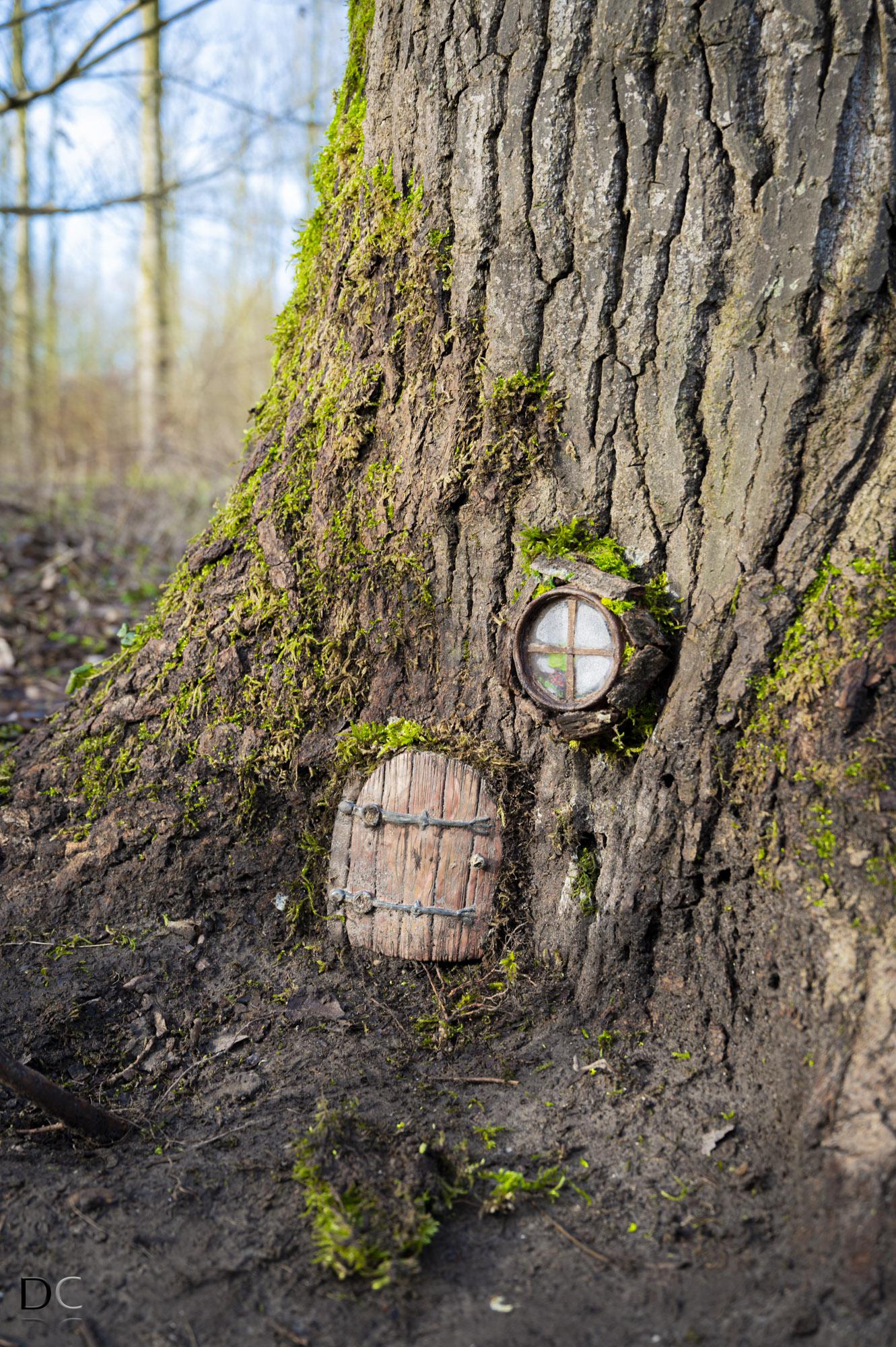 Elfenhuisjes De Elzen Dordrecht