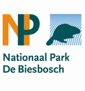 Visiting “De Hollandse Biesbosch”